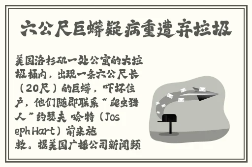 防身术道馆桃子移植